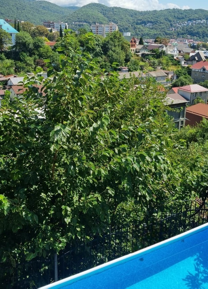 гостевой дом с бассейном в Лазаревском Бассейн с видом на горы