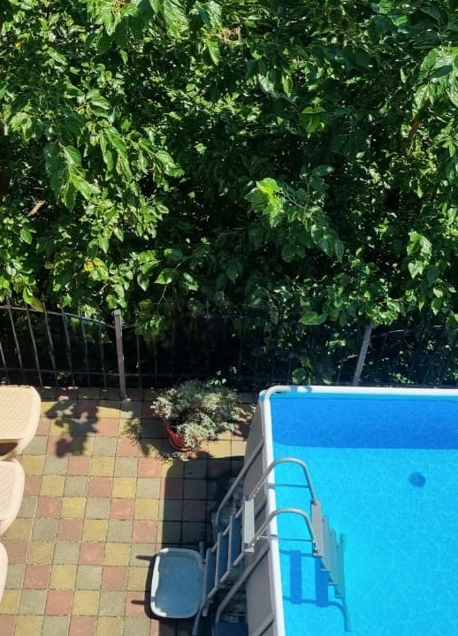 гостевой дом с бассейном в Лазаревском Бассейн с видом на горы