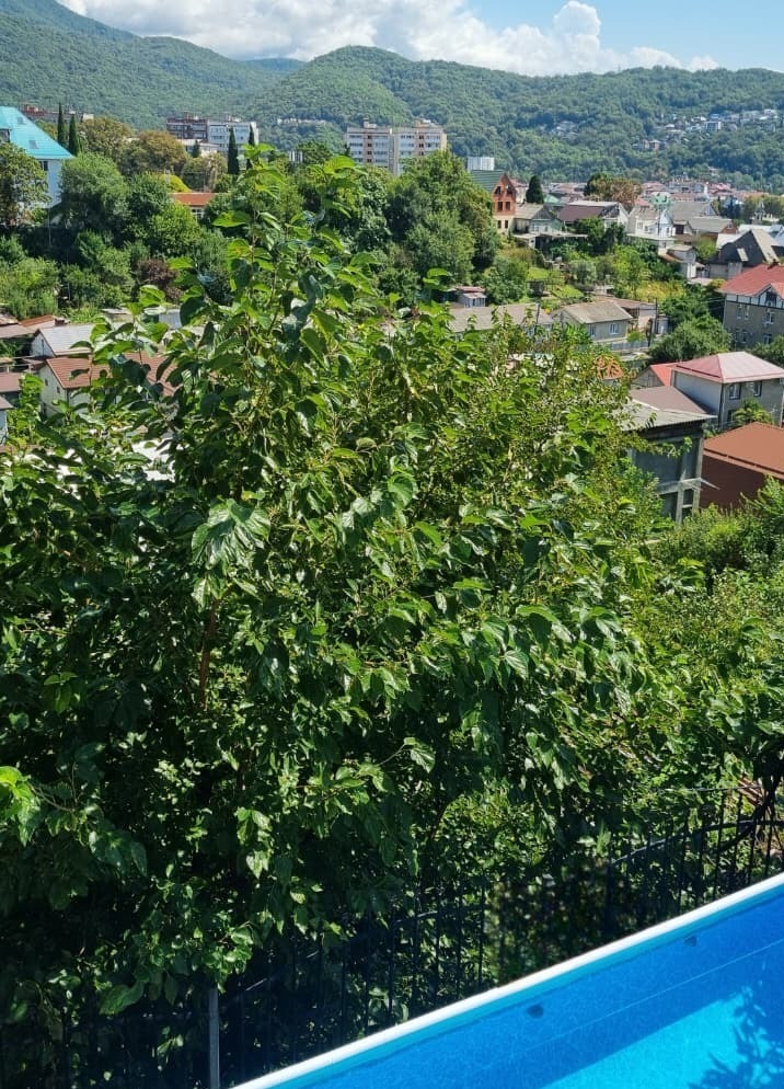 гостевой дом с бассейном в Лазаревском Бассейн с видом на горы